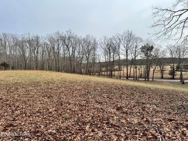 41 Smith Mountain, Rockwood, TN 37854