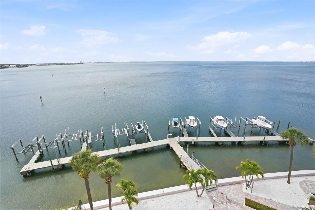 5700 Mariner Street, Unit 702, Tampa, FL 33609 Photo