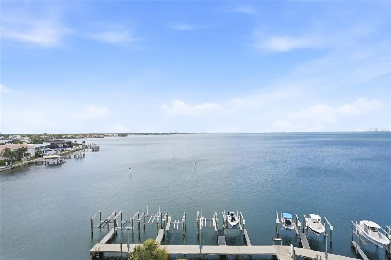 5700 Mariner Street, Unit 702, Tampa, FL 33609 Photo