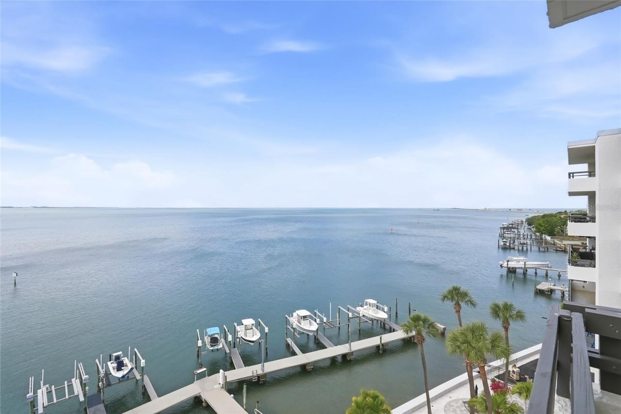 5700 Mariner Street, Unit 702, Tampa, FL 33609 Photo