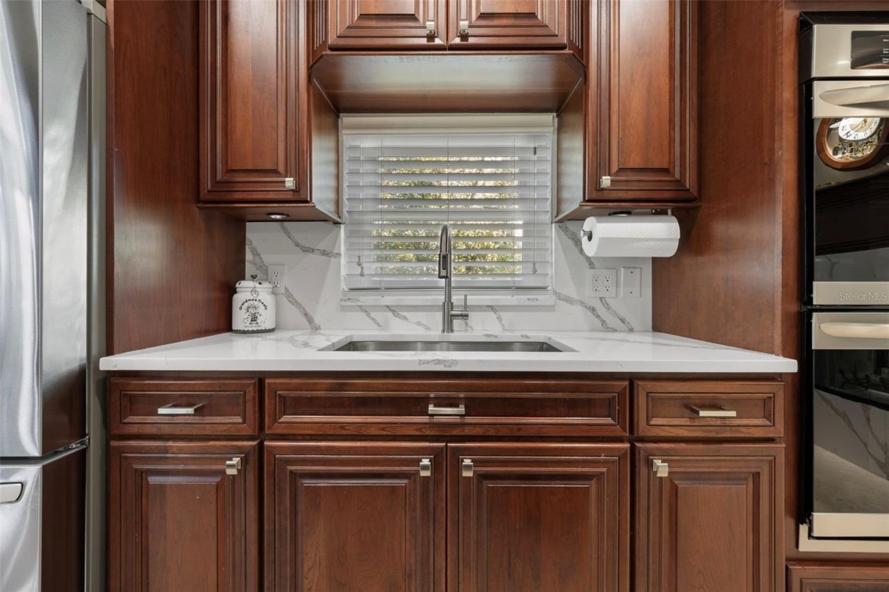 1006 Lake Cooper Drive, Lutz, FL 33548 Photo