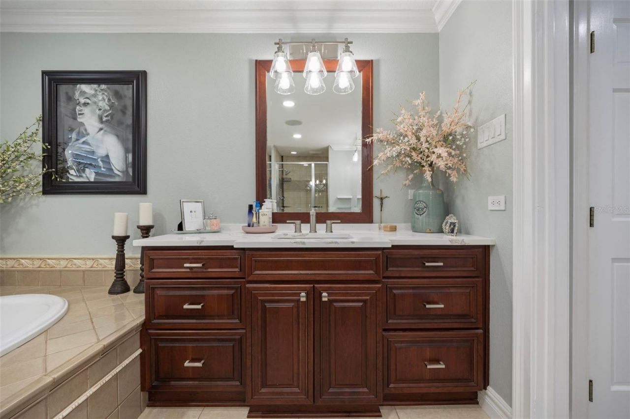 1006 Lake Cooper Drive, Lutz, FL 33548 Photo