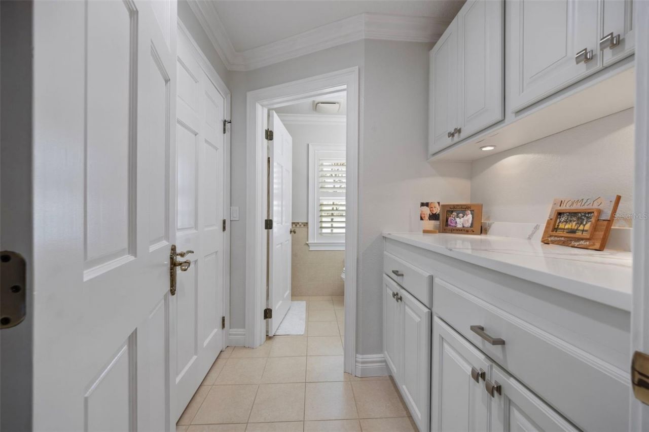 1006 Lake Cooper Drive, Lutz, FL 33548 Photo