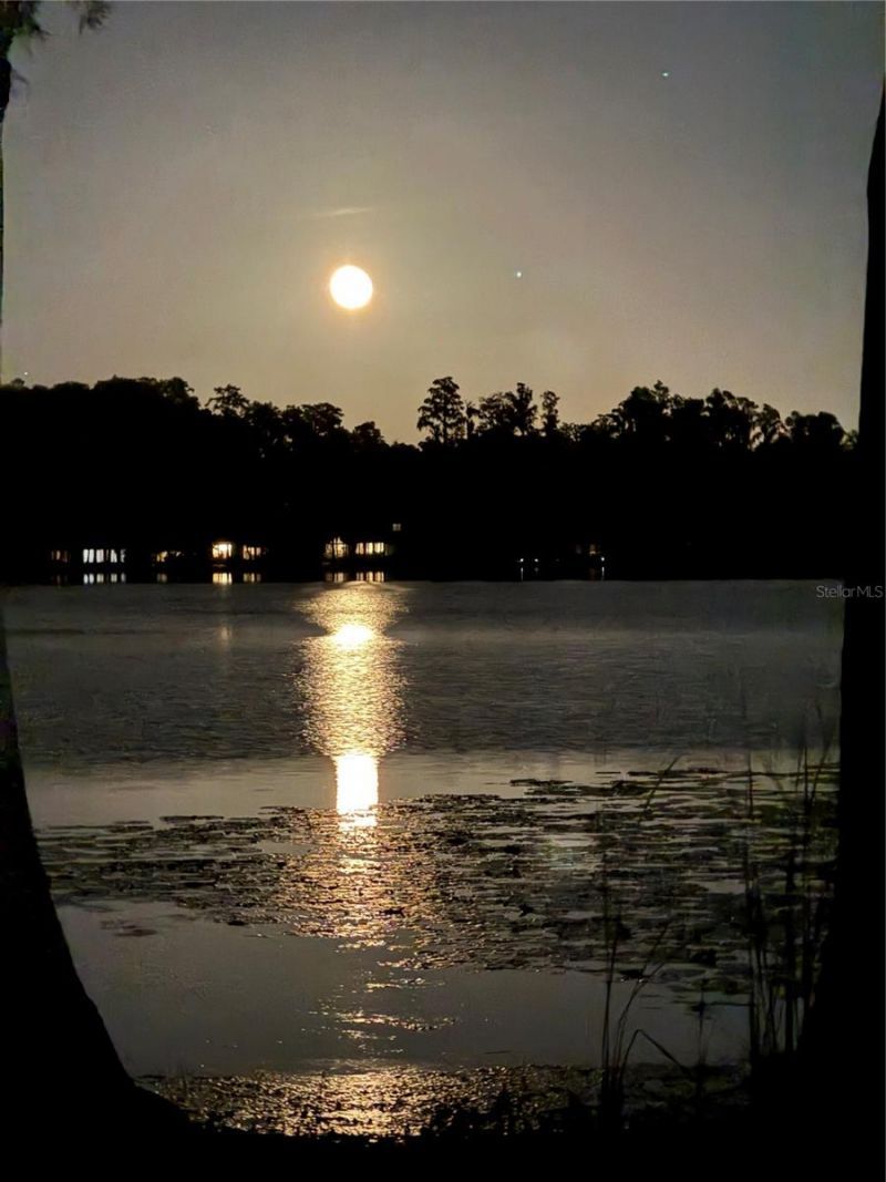 1006 Lake Cooper Drive, Lutz, FL 33548 Photo