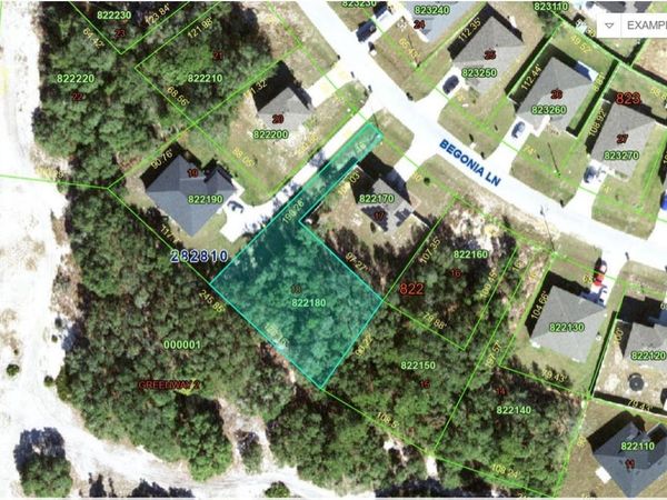 224 BEGONIA LANE, KISSIMMEE, FL 34759