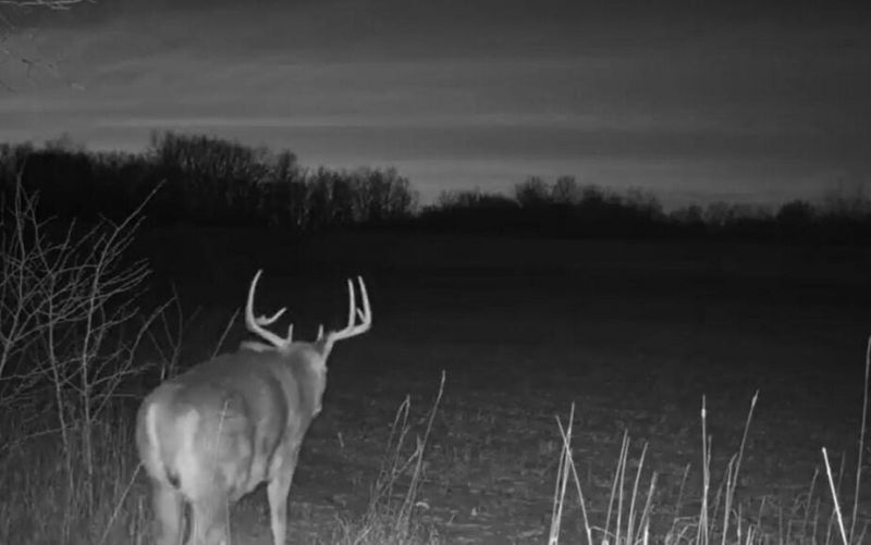 0 Dorland Court Photo 4