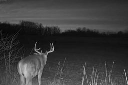 0 Dorland Court photo 4