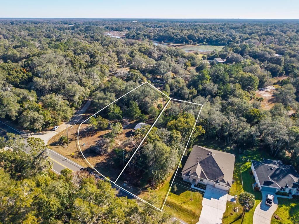 County Road 435, Mount Plymouth, FL 32776 Photo