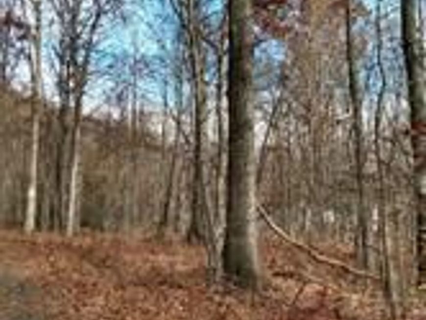 0 High Road, Lavelle, PA 17943 Main Photo