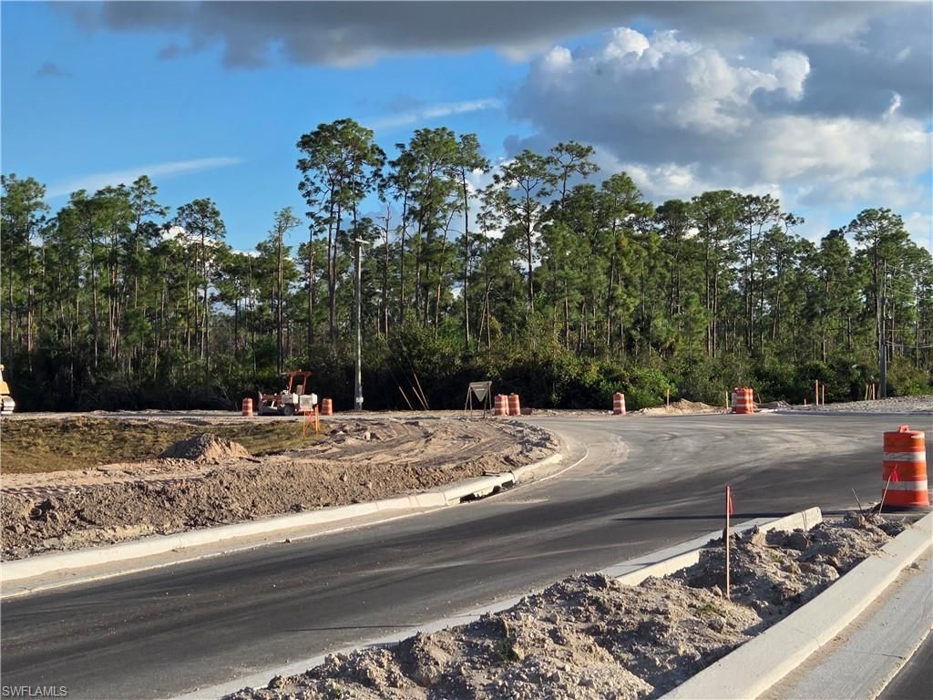 13541 E Terry St , Bonita Springs, FL 34135 Photo