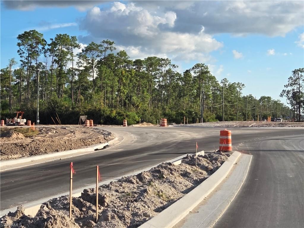 13541 E Terry St , Bonita Springs, FL 34135 Photo