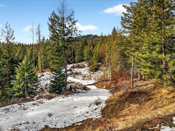 4467 F Williamson Rd, Clayton, WA 99110