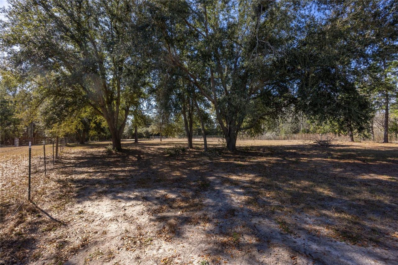 12456 155th Place, Live Oak, FL 32060 Photo