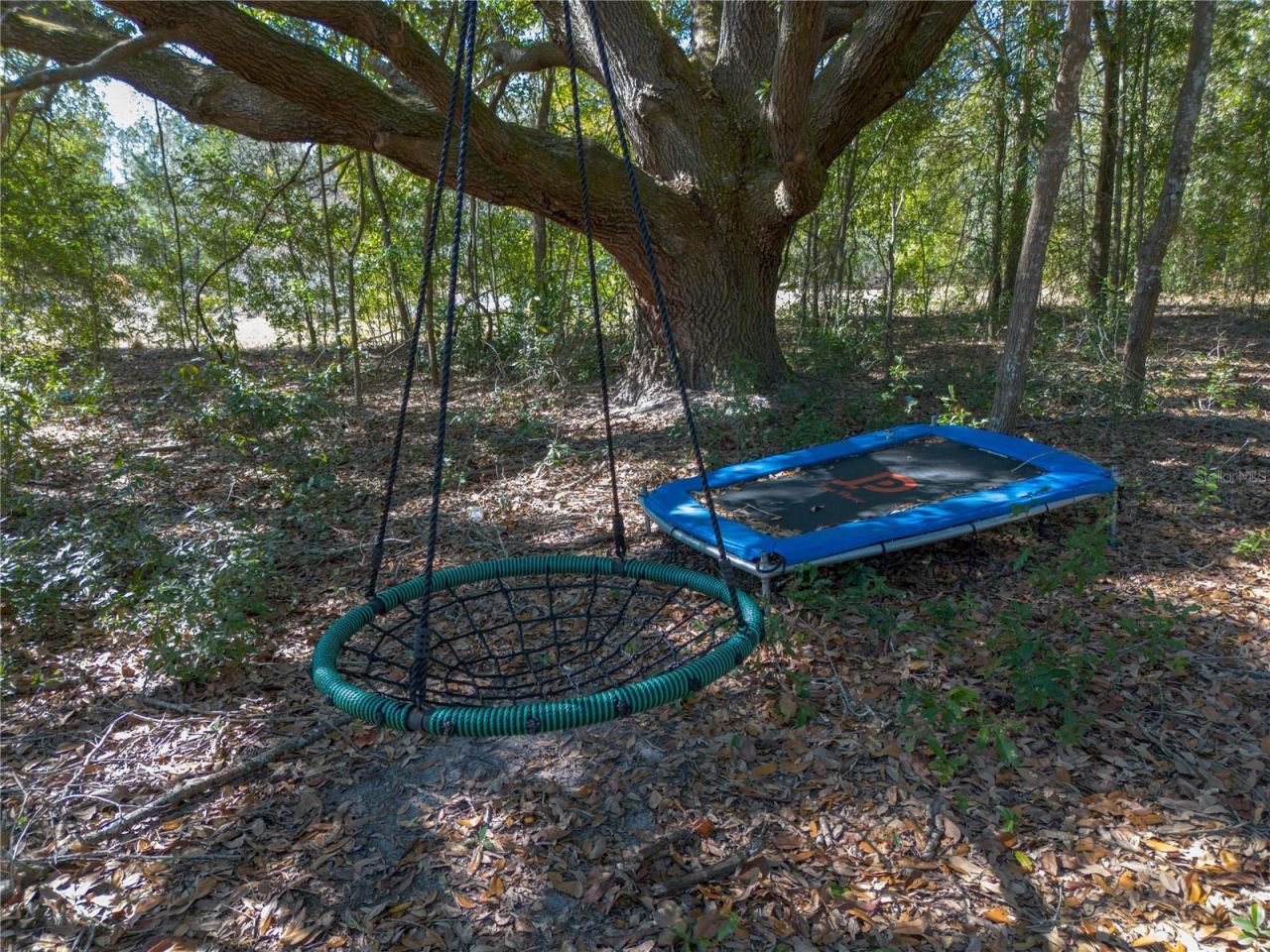 12456 155th Place, Live Oak, FL 32060 Photo