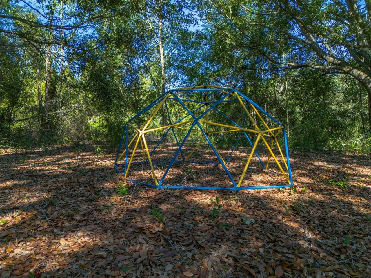 12456 155th Place, Live Oak, FL 32060 Photo