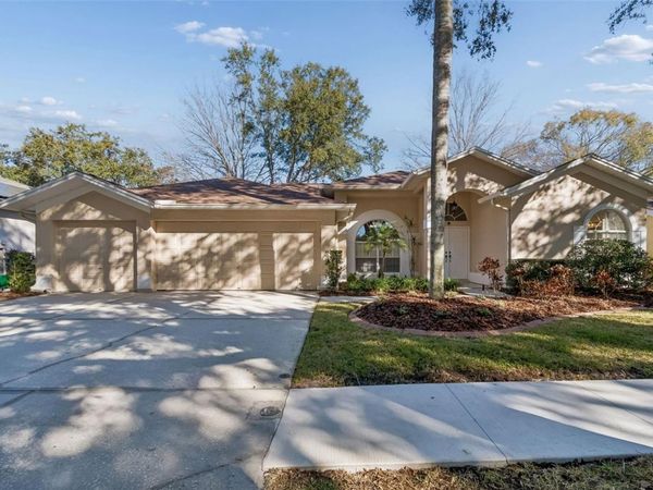 9334 HAMPSHIRE PARK DRIVE, TAMPA, FL 33647