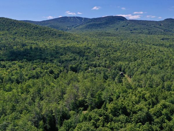 49 The Woods, North Creek, NY 12853