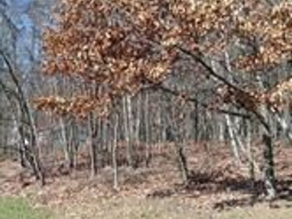 0 N PAUL STREET, ASHLAND, PA 17921