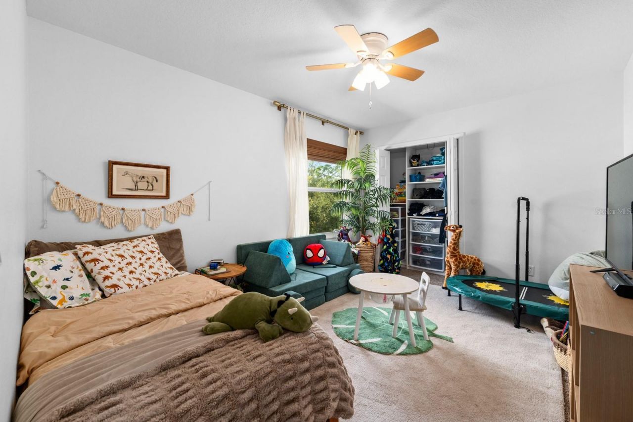 12402 Rustic View Court, Tampa, FL 33635 Photo