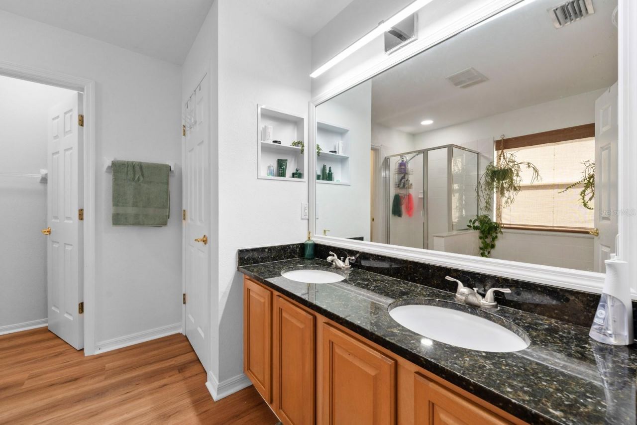 12402 Rustic View Court, Tampa, FL 33635 Photo