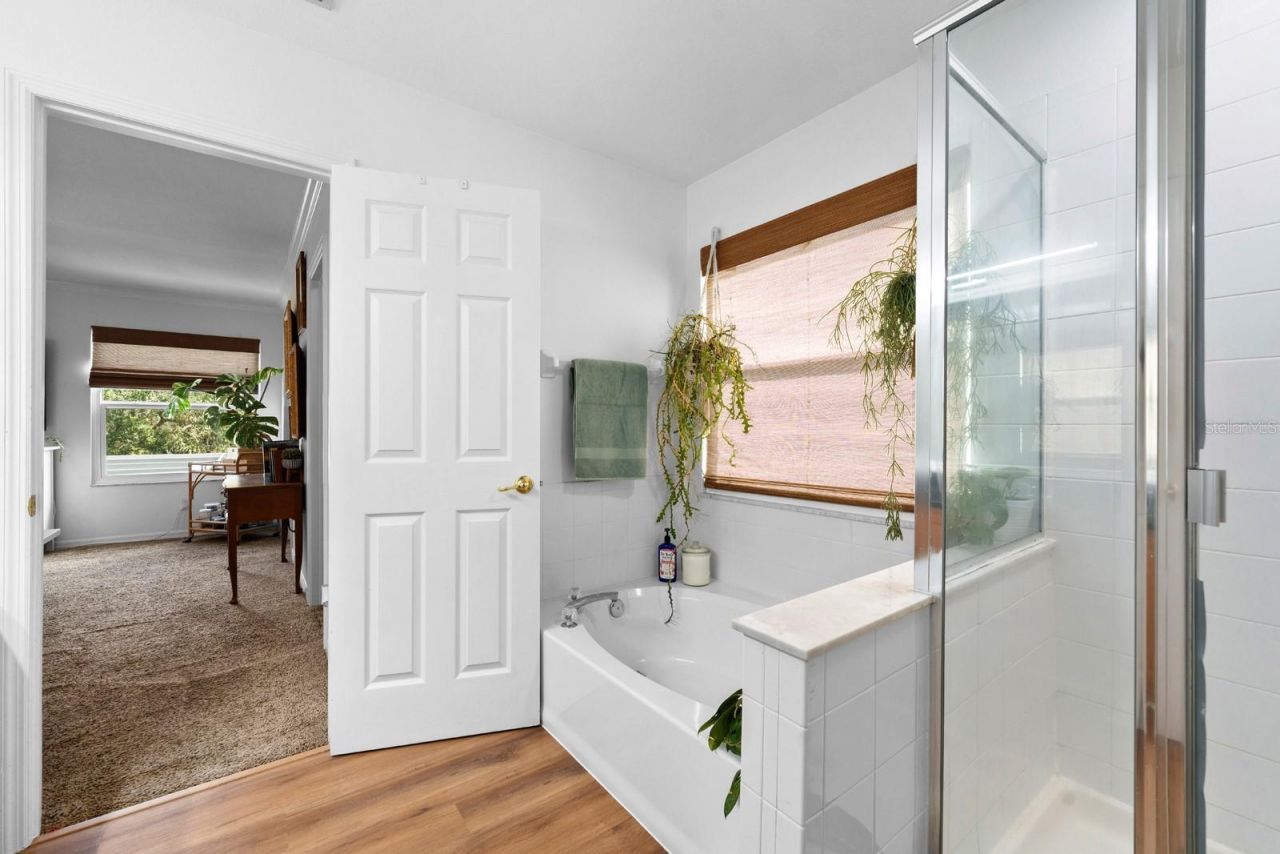 12402 Rustic View Court, Tampa, FL 33635 Photo