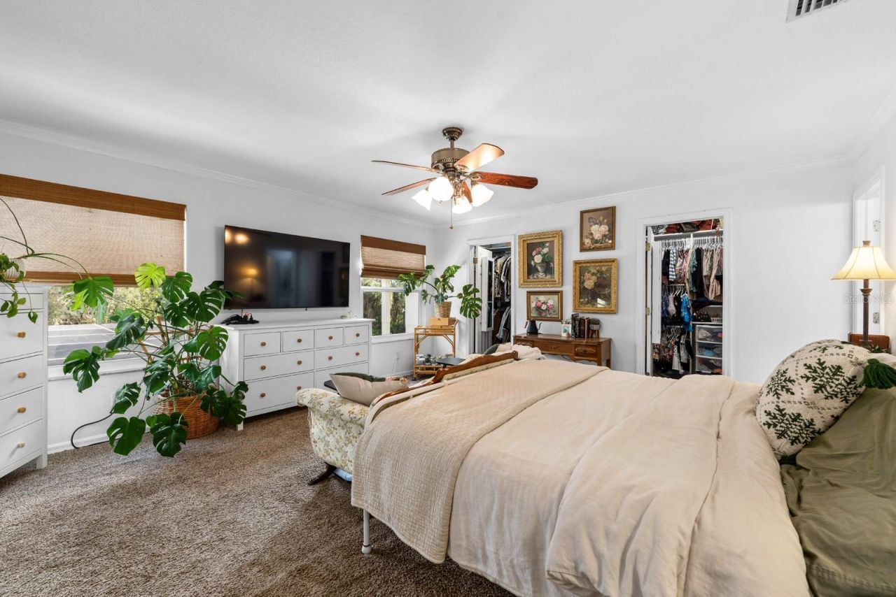 12402 Rustic View Court, Tampa, FL 33635 Photo