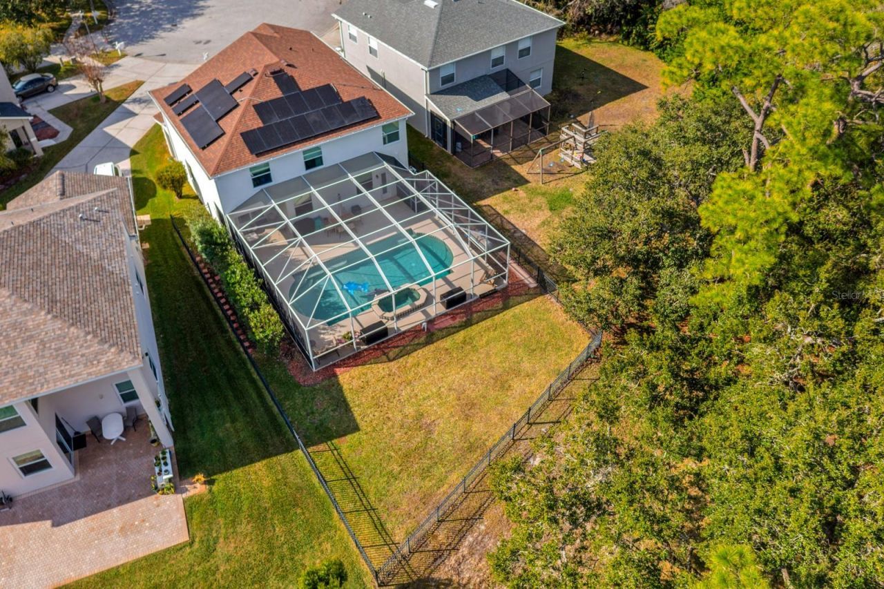 12402 Rustic View Court, Tampa, FL 33635 Photo