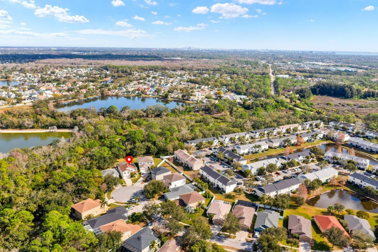 12402 Rustic View Court, Tampa, FL 33635 Photo