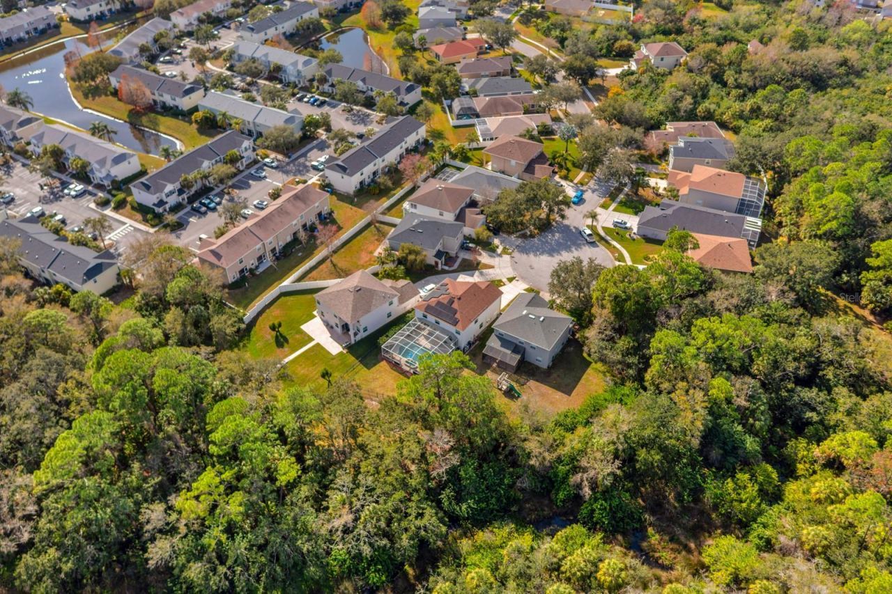 12402 Rustic View Court, Tampa, FL 33635 Photo