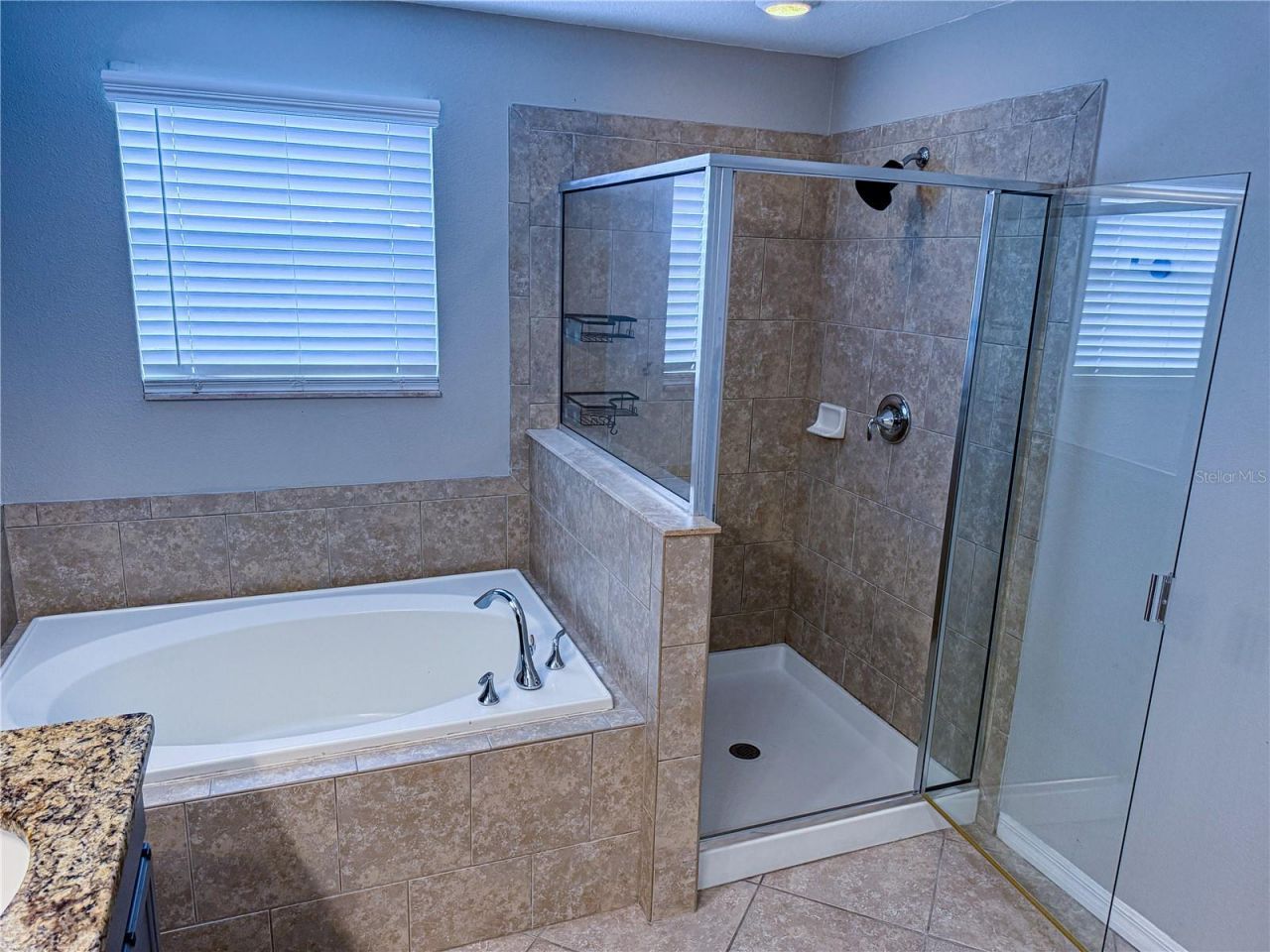 909 Meadow Glade Drive, Ruskin, FL 33570 Photo