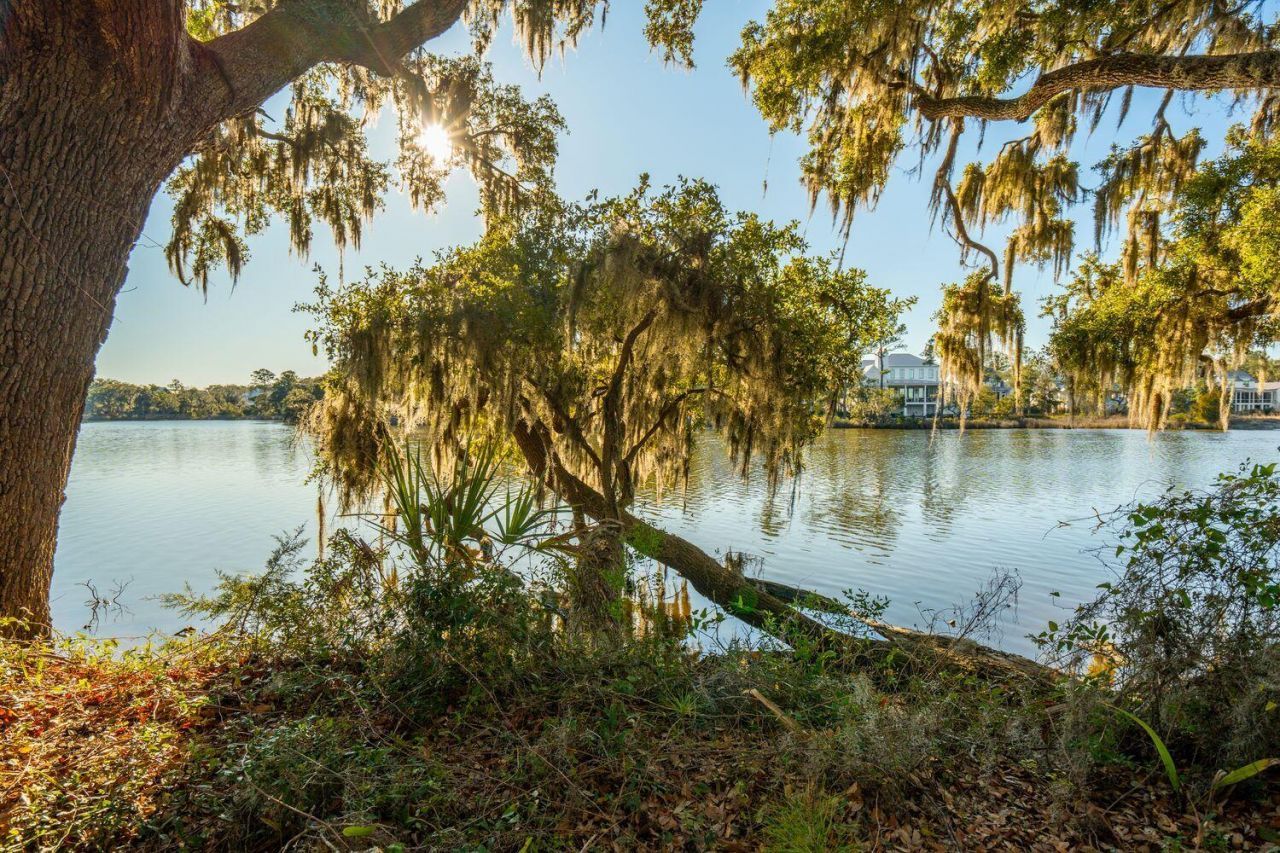 3022 Eventide Drive Photo 11
