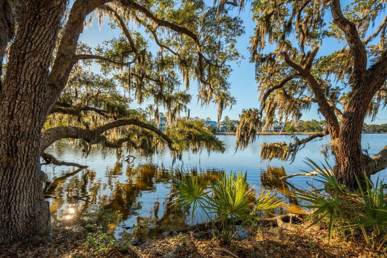 3022 Eventide Drive Photo 13