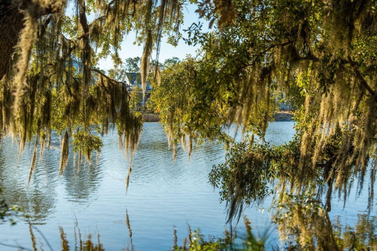 3022 Eventide Drive Photo 14