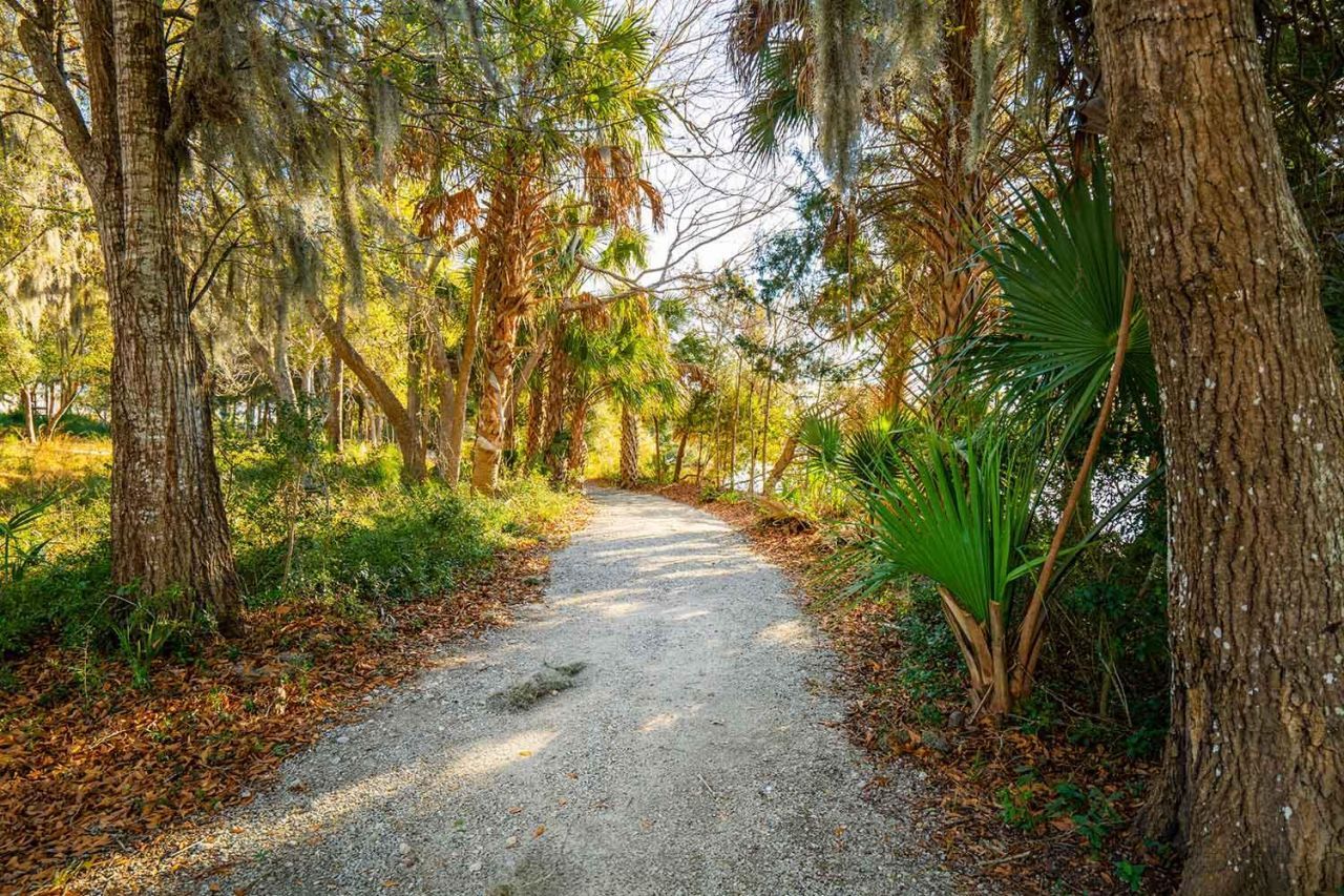 3022 Eventide Drive Photo 48