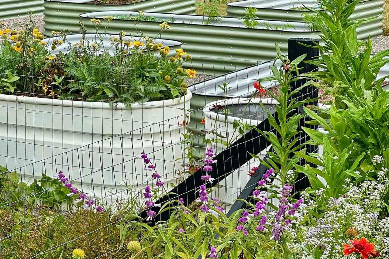 3022 Eventide Drive Photo 51