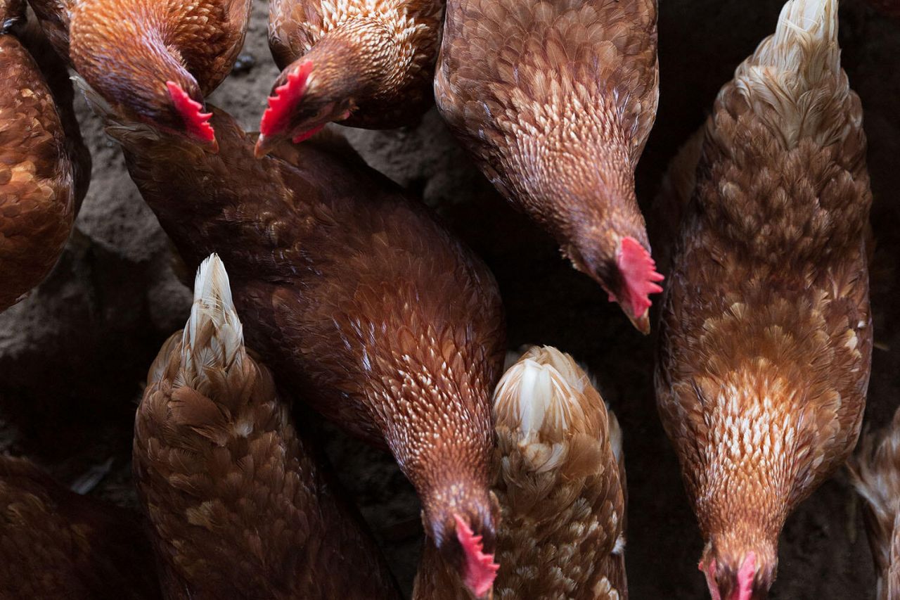 3022 Eventide Drive Photo 52