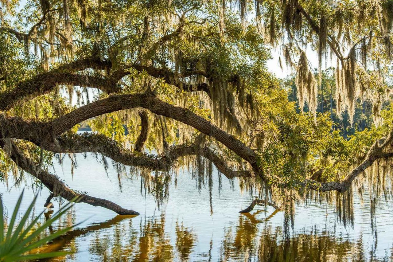 3022 Eventide Drive Photo 60