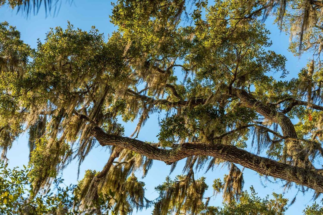 3022 Eventide Drive Photo 61