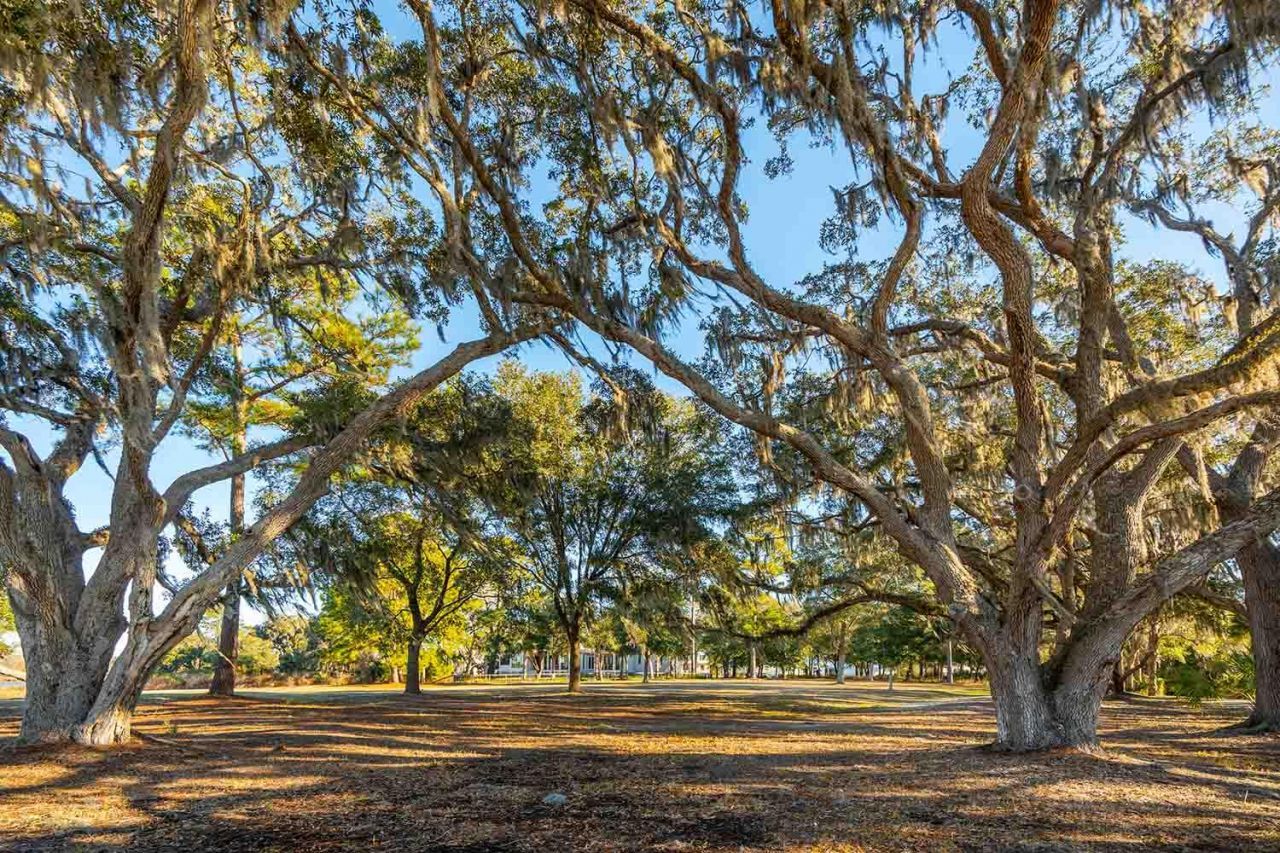 3022 Eventide Drive Photo 62