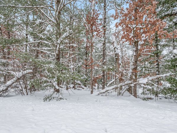 01 Bradby Blvd, Baldwin, MI 49304