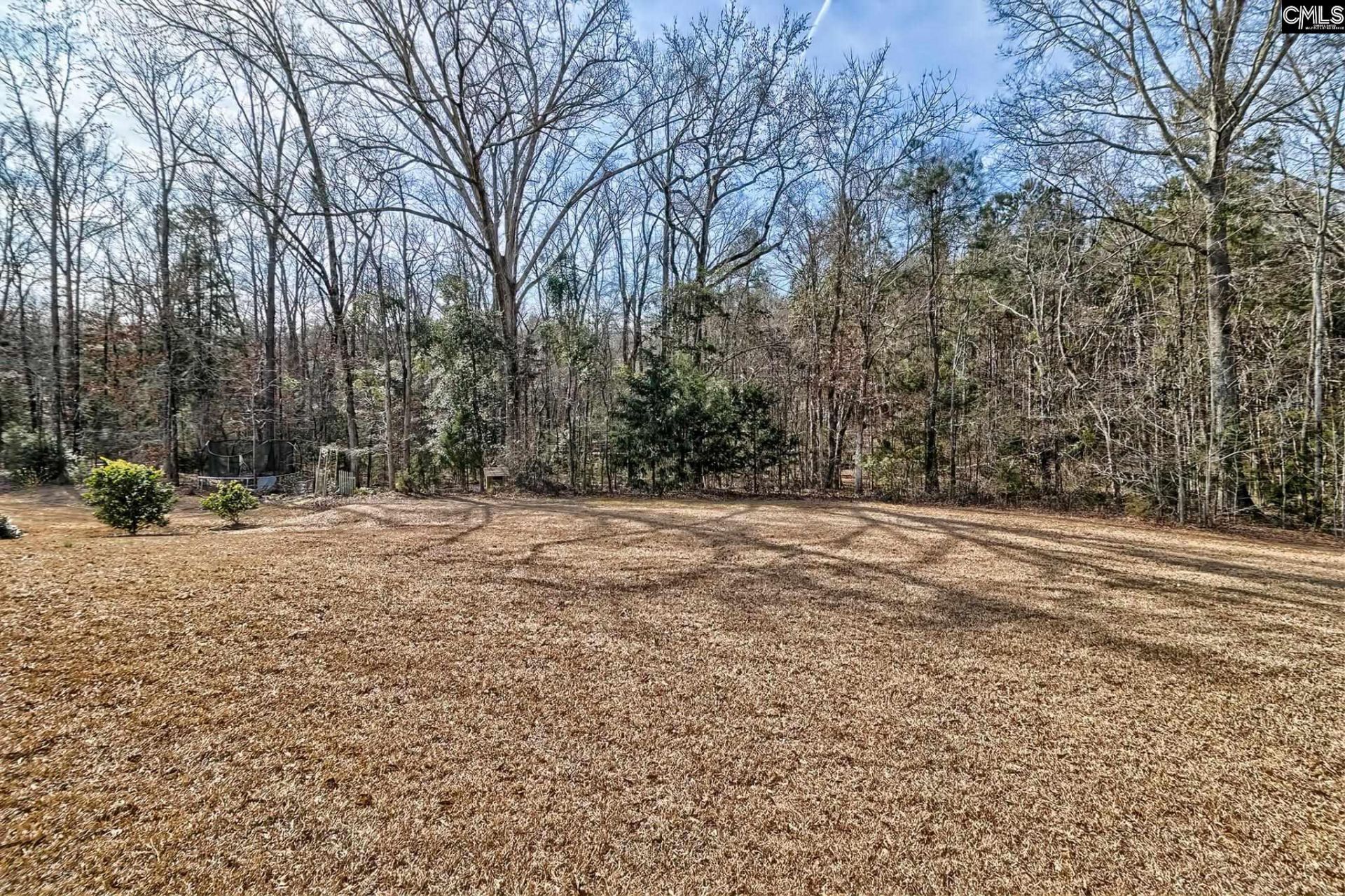 335 Saucer Way Photo 16