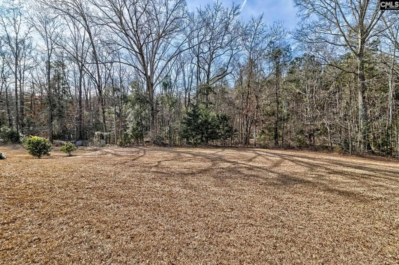 335 Saucer Way Photo 9