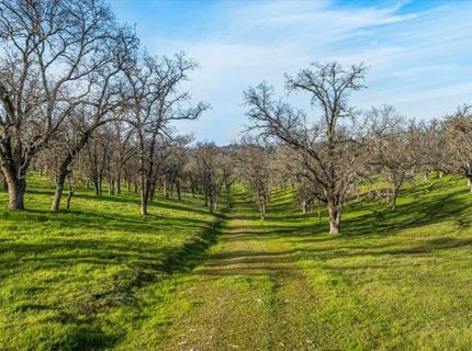 5358 Hwy 12, Wallace, CA 95254 Photo