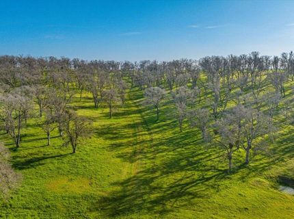 5358 Hwy 12, Wallace, CA 95254 Photo