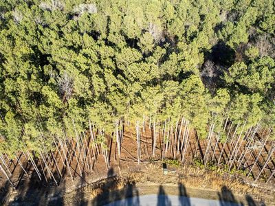 LOT 83 Timber Trail Lane , Prosperity, SC 29217