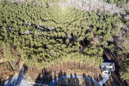 Lot 83 Timber Trail Lane  photo 4