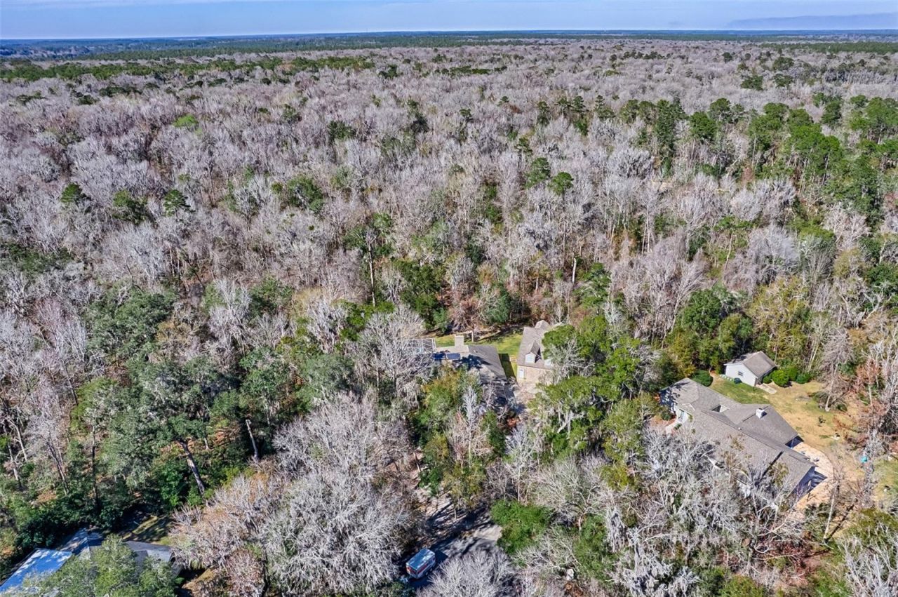 10015 NW 62nd Lane, Gainesville, FL 32653 Photo