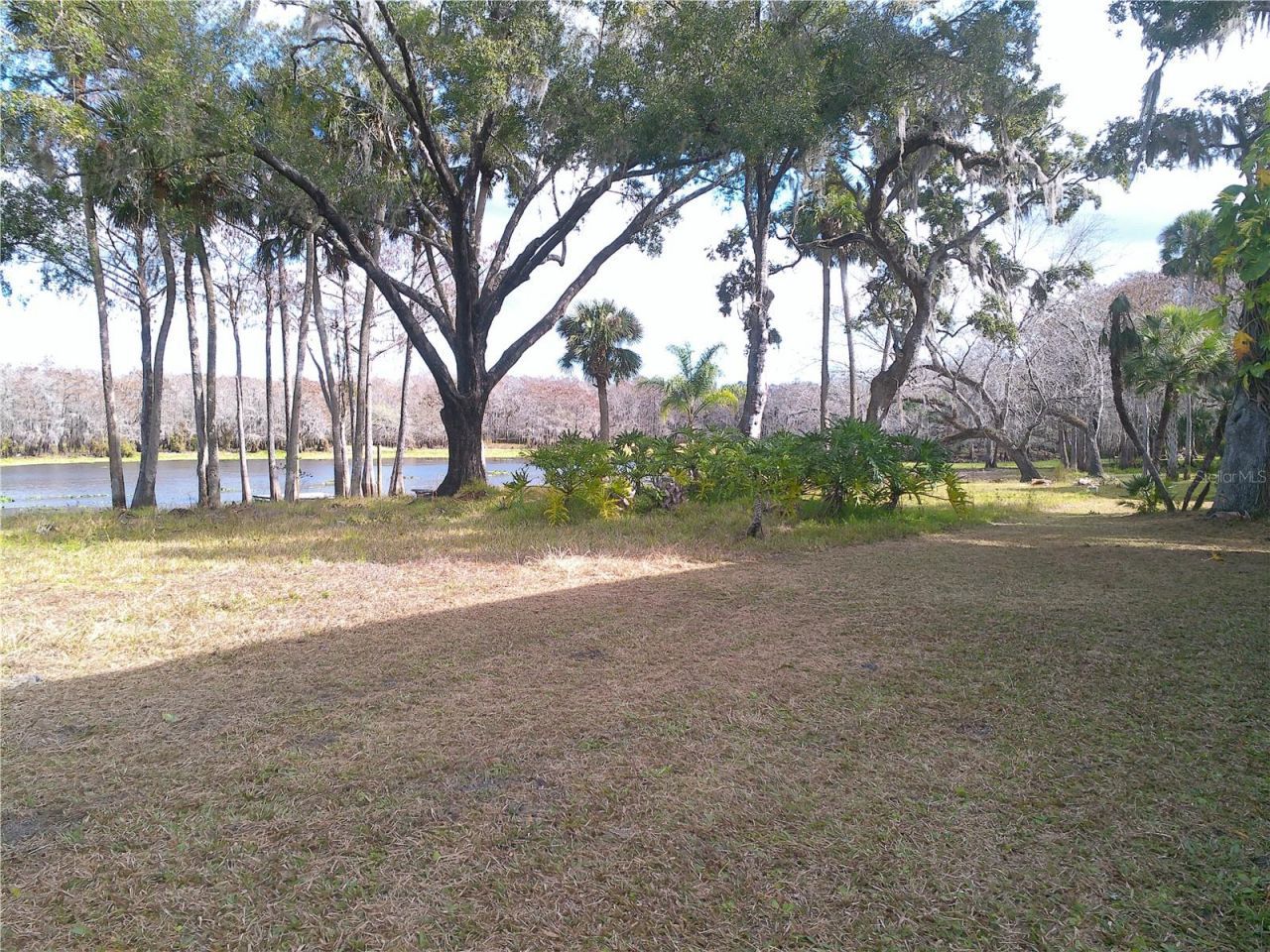 3921 E Osceola Road, Geneva, FL 32732 Photo