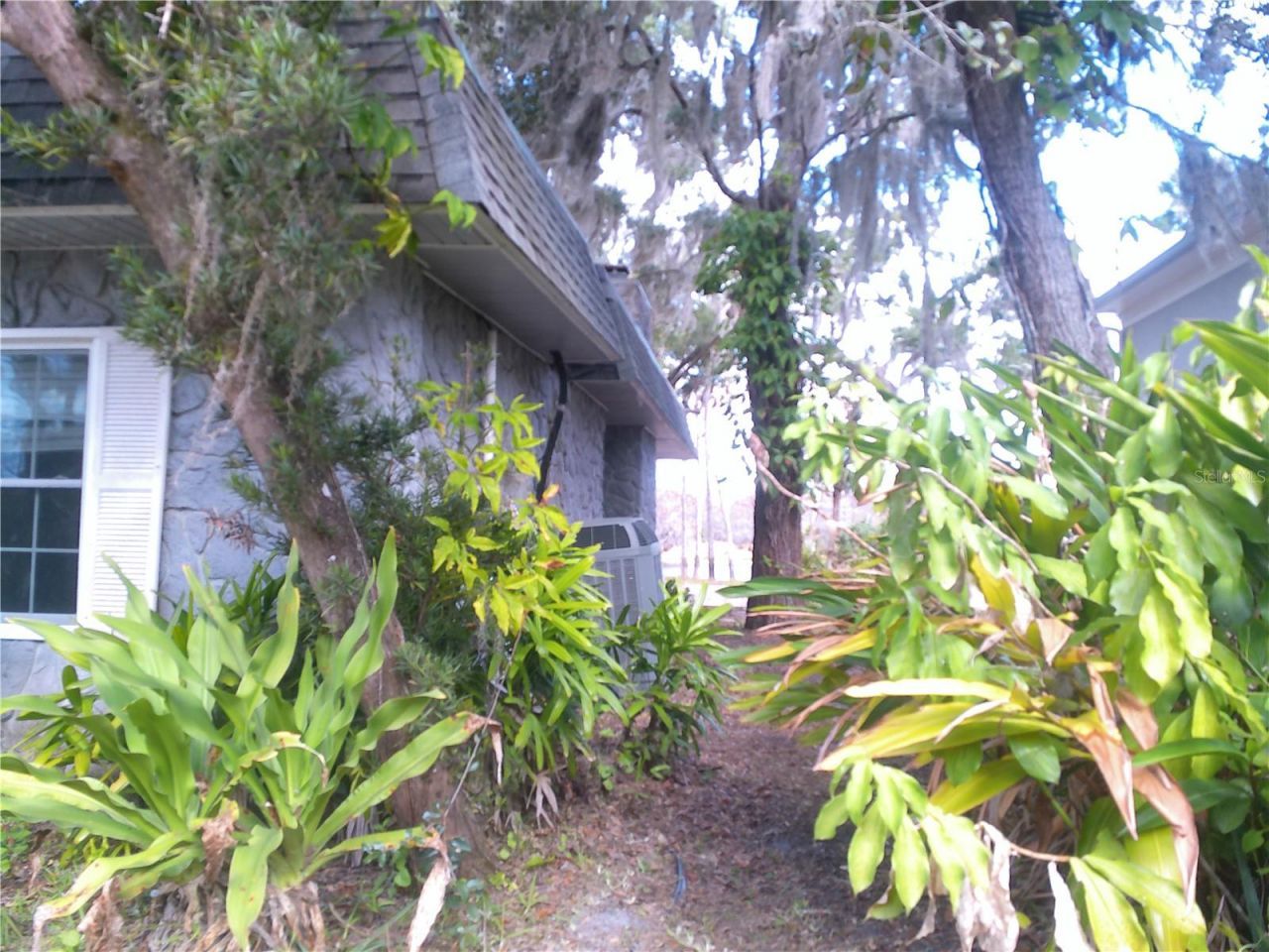 3921 E Osceola Road, Geneva, FL 32732 Photo