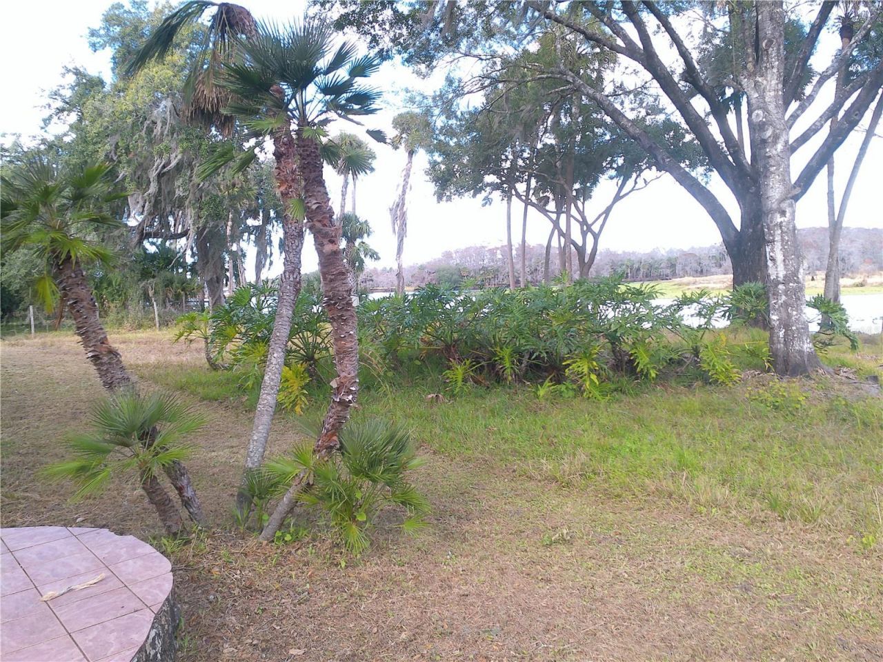 3921 E Osceola Road, Geneva, FL 32732 Photo